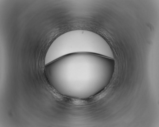 X0000113030336200908271100