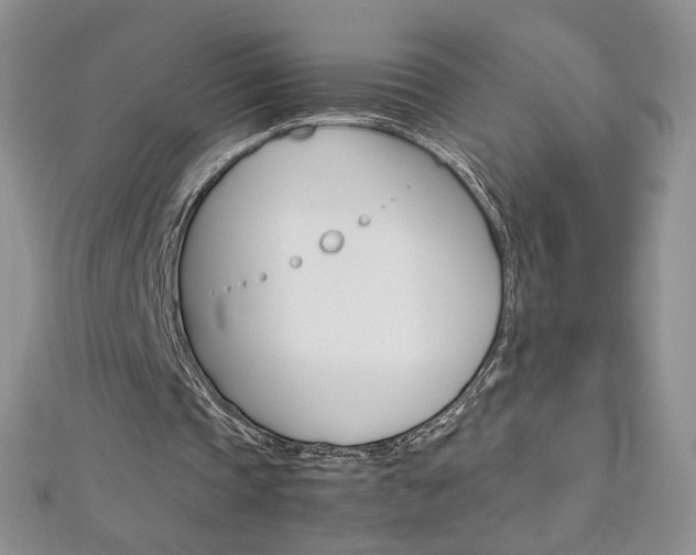 X0000113030337200908271100