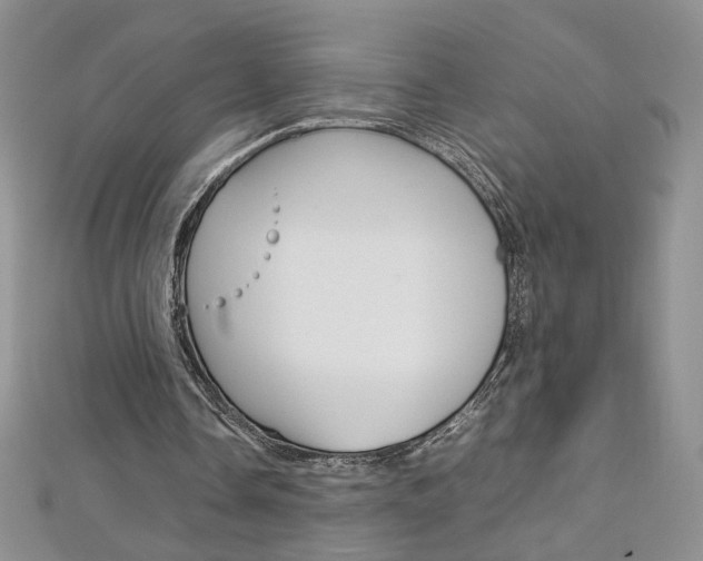 X0000113030338200908271100