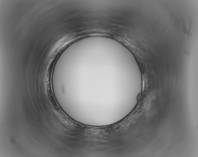 X0000113030339200908271100