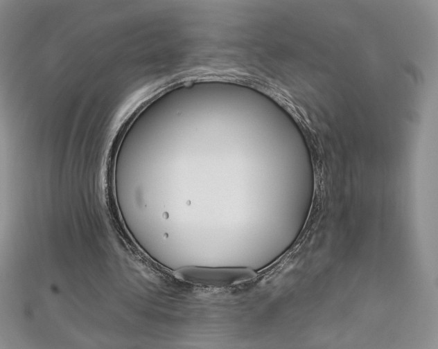 X0000113030340200908271100