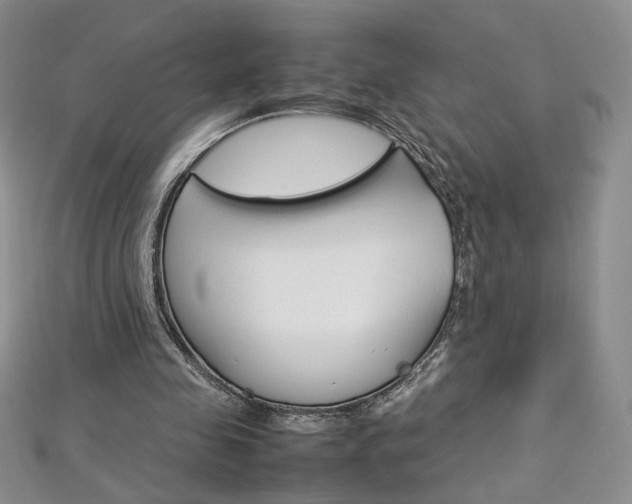 X0000113030341200908271100