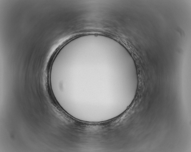 X0000113030342200908271100