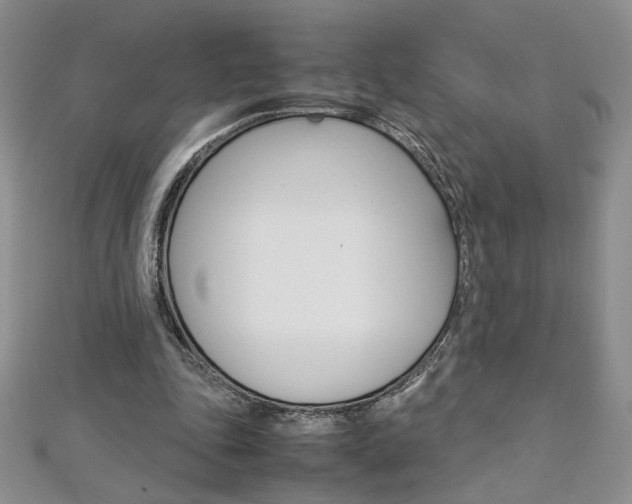 X0000113030343200908271100