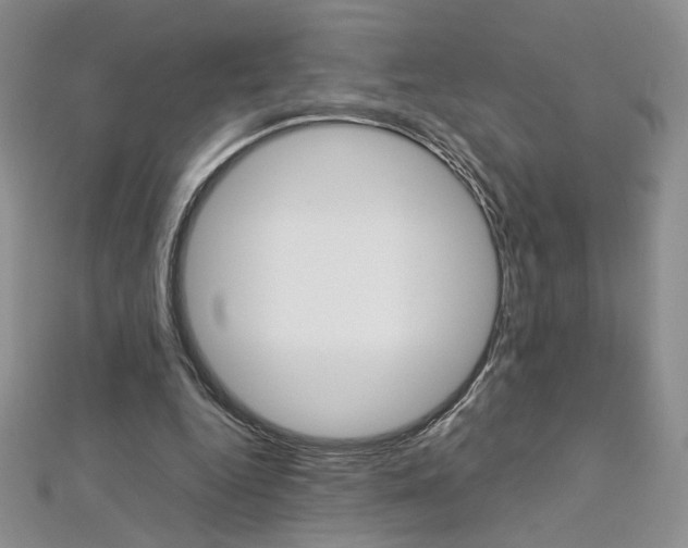 X0000113030344200908271100