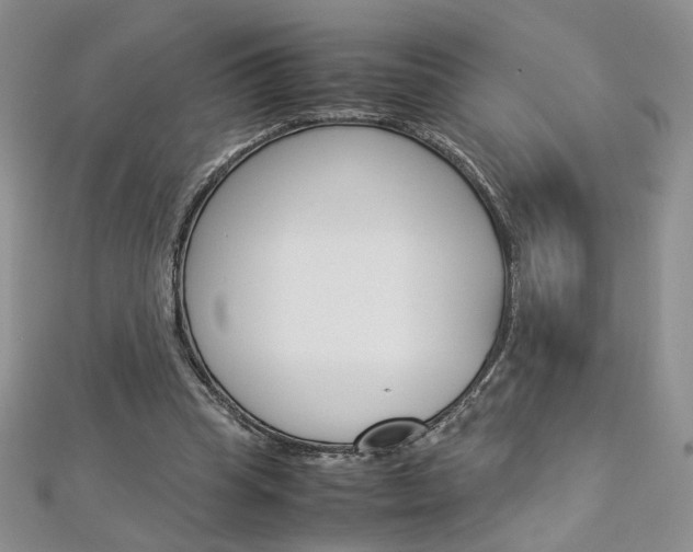 X0000113030345200908271100