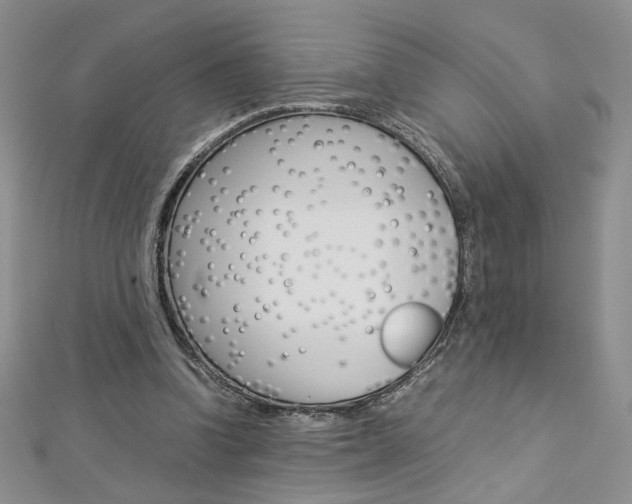 X0000113030346200908271100