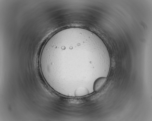 X0000113030347200908271100