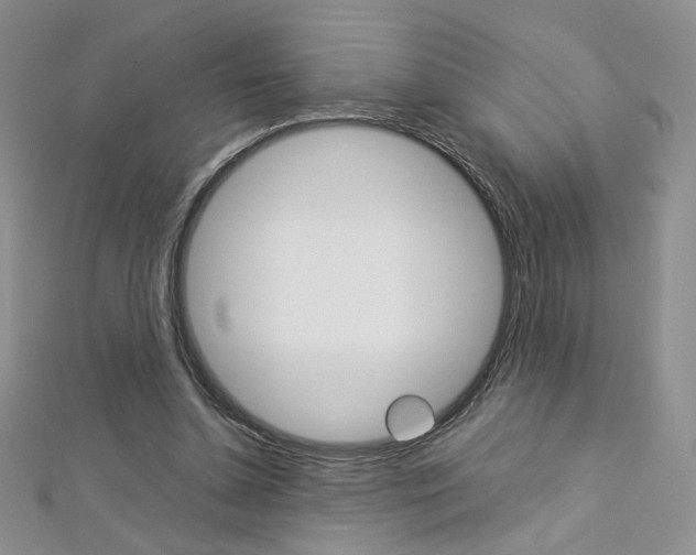 X0000113030348200908271100