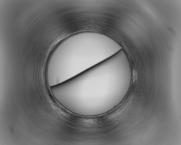 X0000113030349200908271100