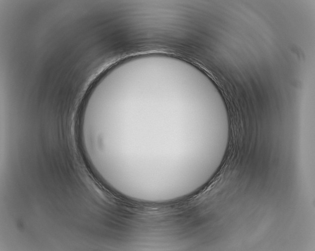 X0000113030350200908271100