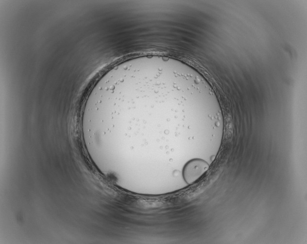 X0000113030351200908271100