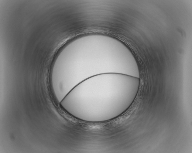 X0000113030352200908271100