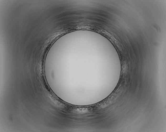 X0000113030353200908271100