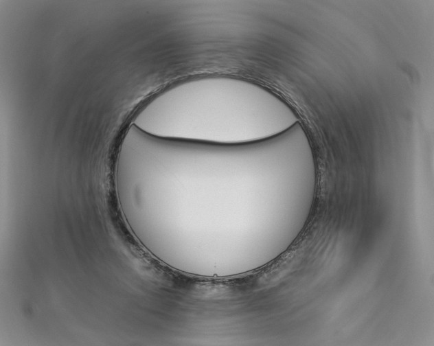 X0000113030354200908271100