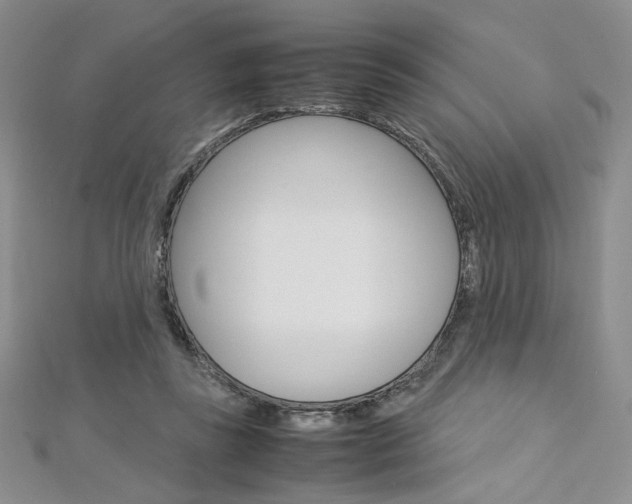 X0000113030355200908271100