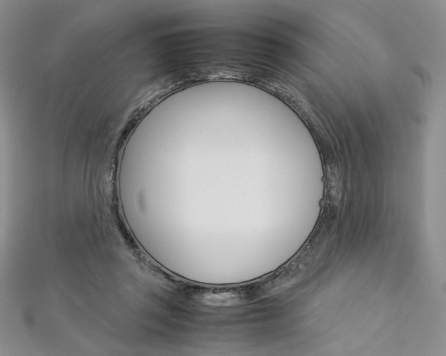 X0000113030357200908271100