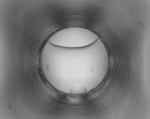 X0000113030359200908271100