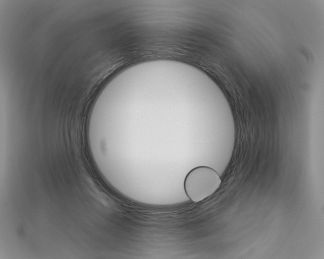 X0000113030360200908271100