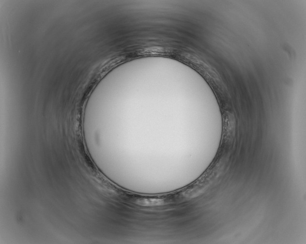 X0000113030361200908271100