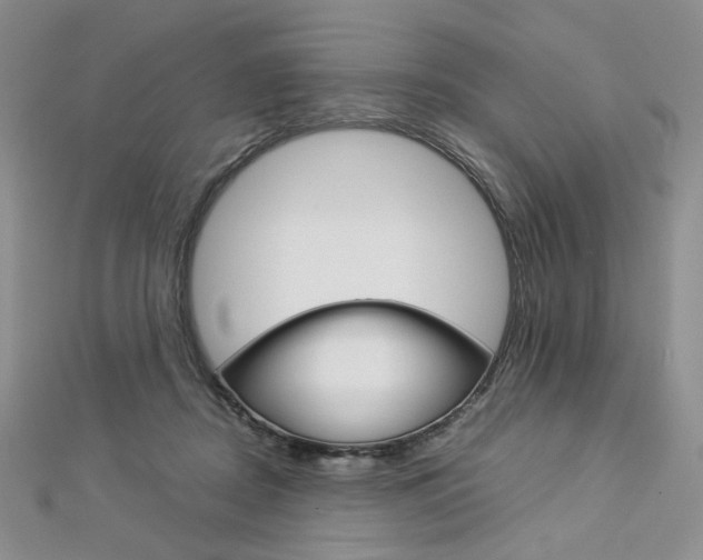 X0000113030362200908271100