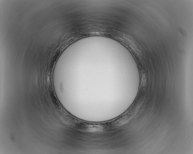 X0000113030363200908271100