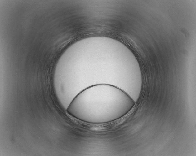 X0000113030364200908271100