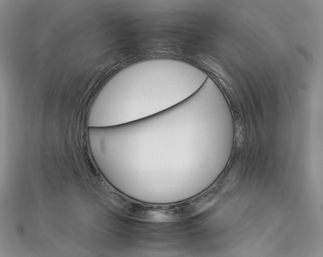 X0000113030365200908271100