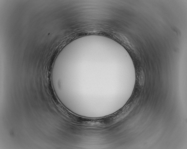 X0000113030366200908271100