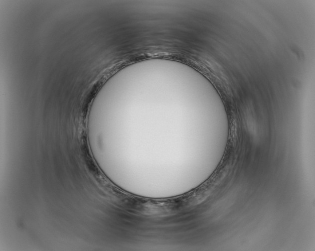 X0000113030367200908271100