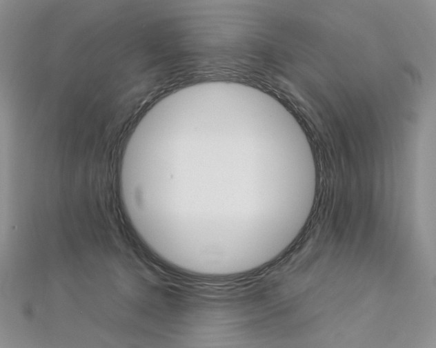 X0000113030368200908271100