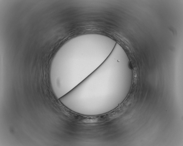 X0000113030369200908271100