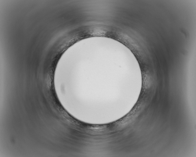 X0000113030370200908271100