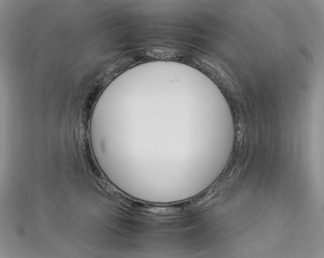 X0000113030371200908271100