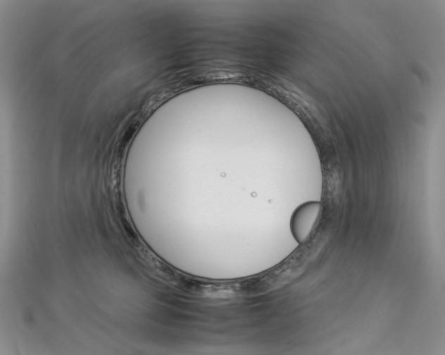 X0000113030373200908271100