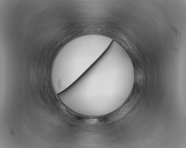 X0000113030374200908271100