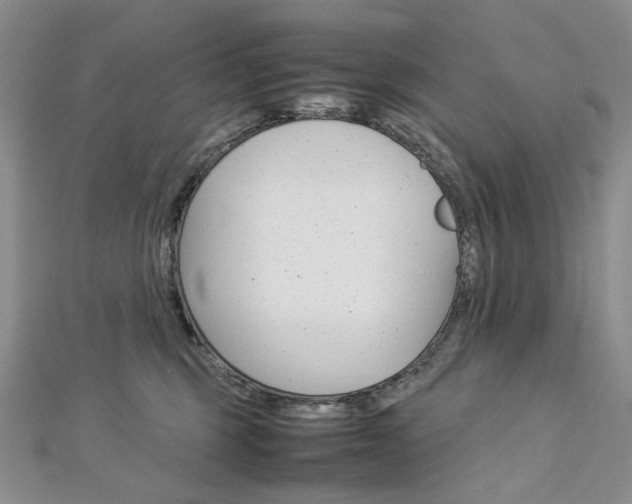 X0000113030375200908271100