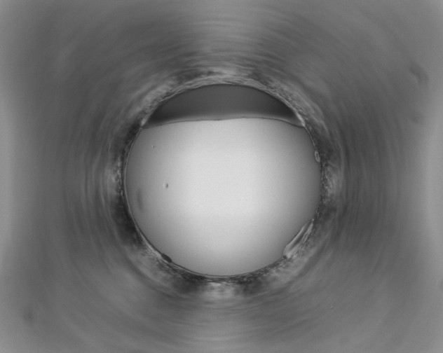 X0000113030376200908271100