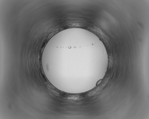 X0000113030377200908271100