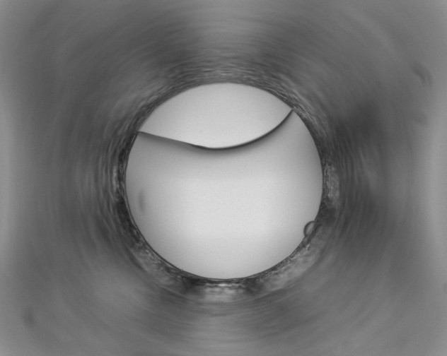 X0000113030378200908271100