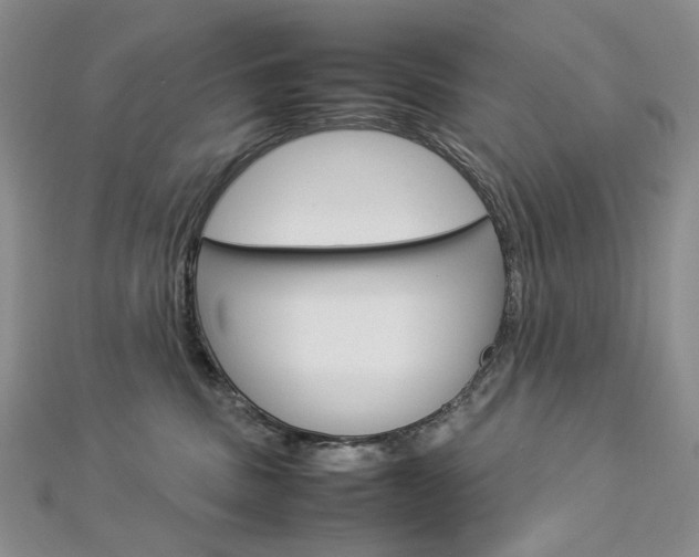 X0000113030379200908271100