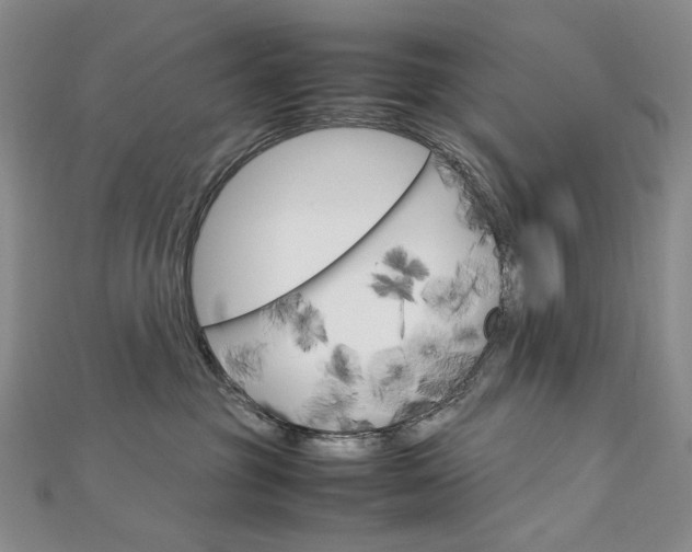 X0000113030381200908271100