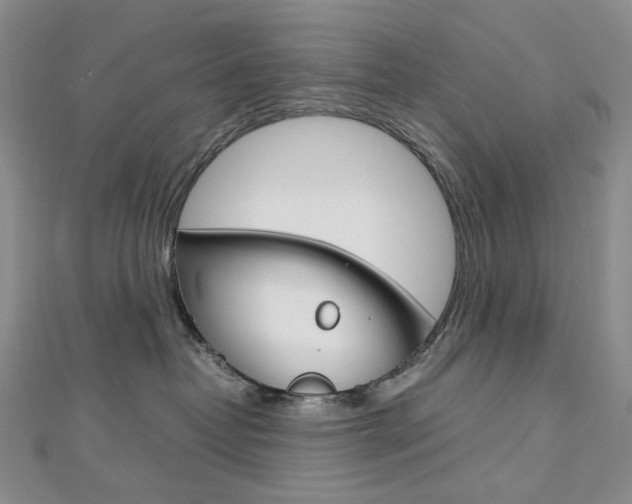 X0000113030382200908271100