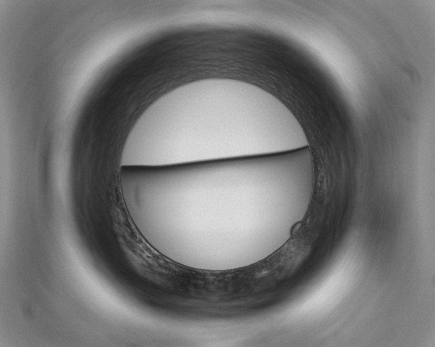 X0000113030383200908271100