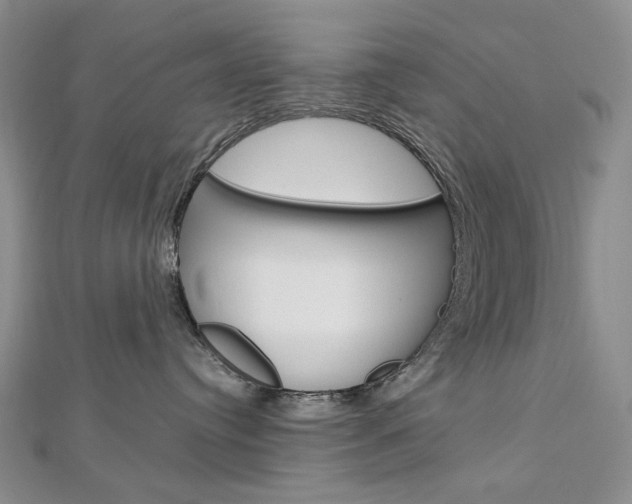 X0000113030384200908271100