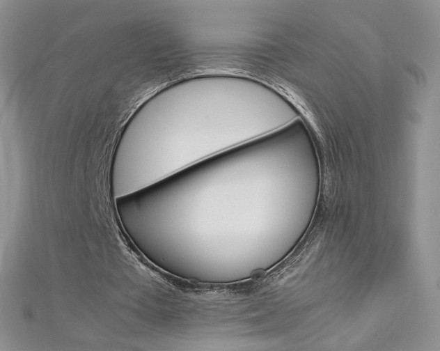 X0000113030385200908271100