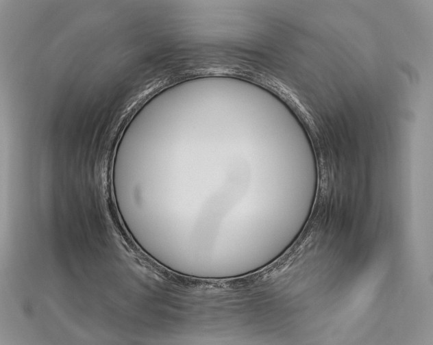 X0000113030386200908271100