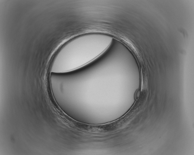 X0000113030387200908271100