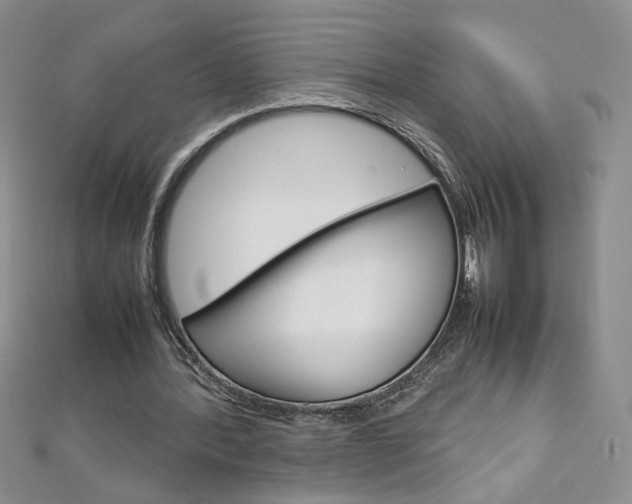 X0000113030388200908271100