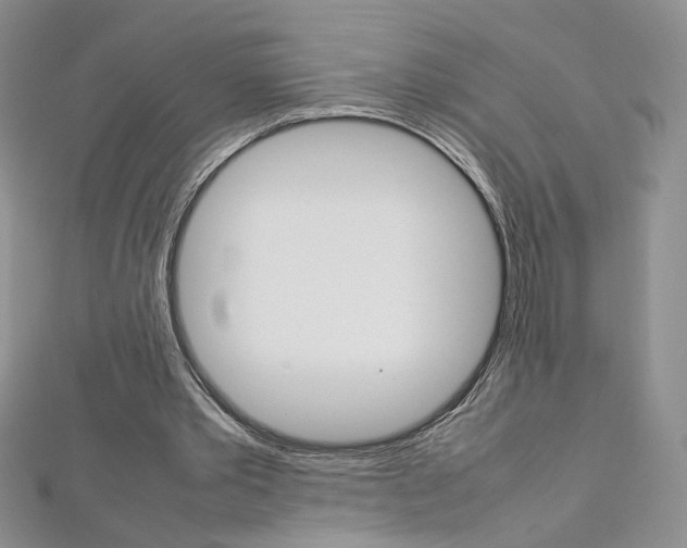 X0000113030389200908271100